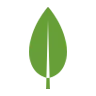 mongodb logo